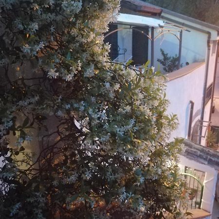 B&B Moscani Salerno Bagian luar foto
