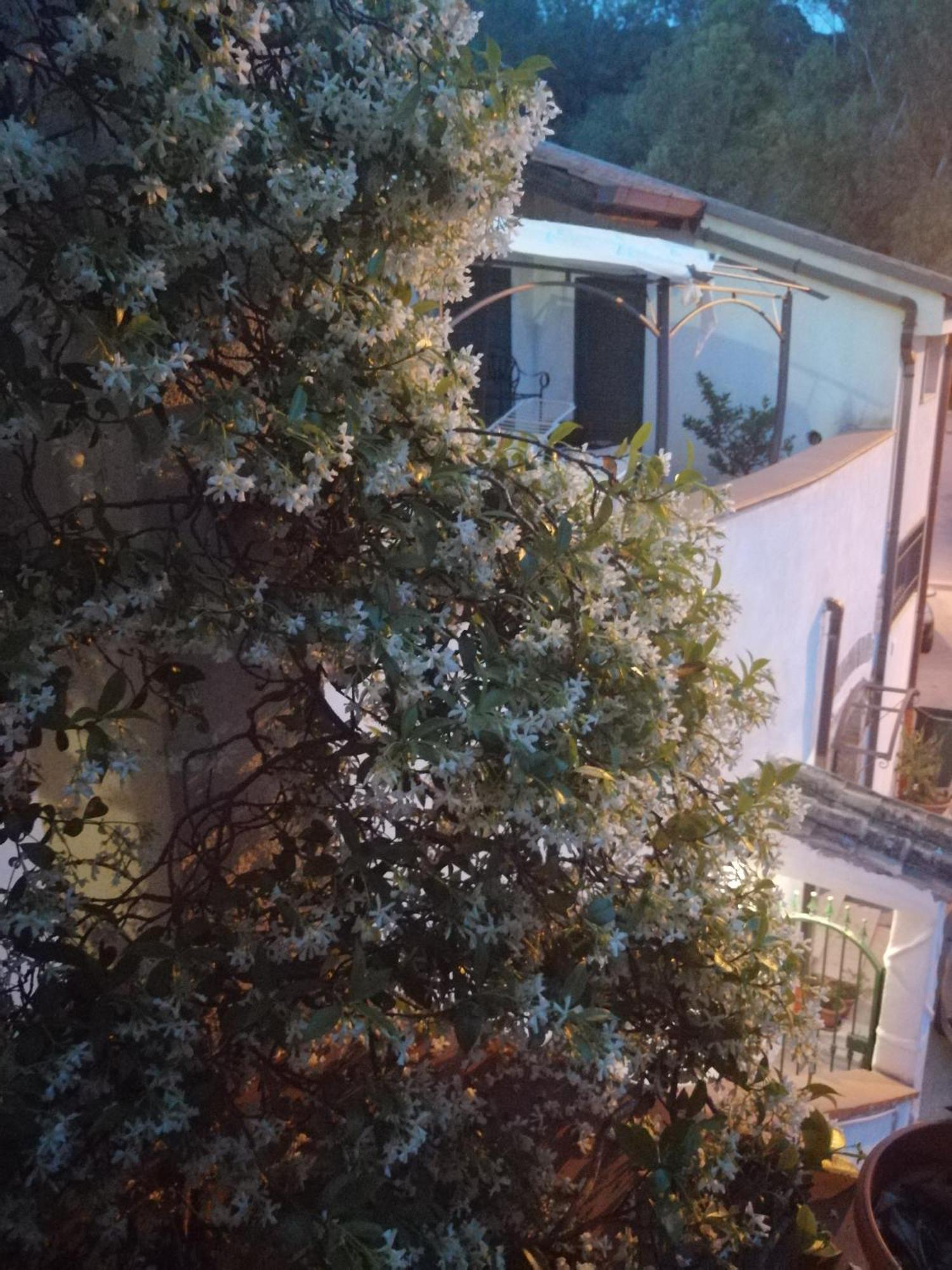 B&B Moscani Salerno Bagian luar foto